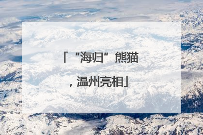 “海归”熊猫，温州亮相